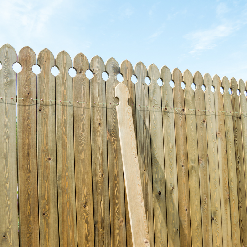 Homeowner inspecting a wood fence line in spring in an Ontario residential backyard — fence post and boundary check guide