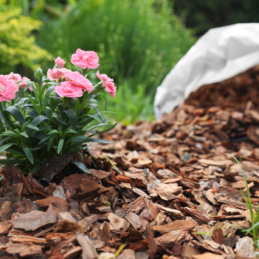 Spring Mulching Guide: Why, When, and How to Mulch for a Healthier Garden