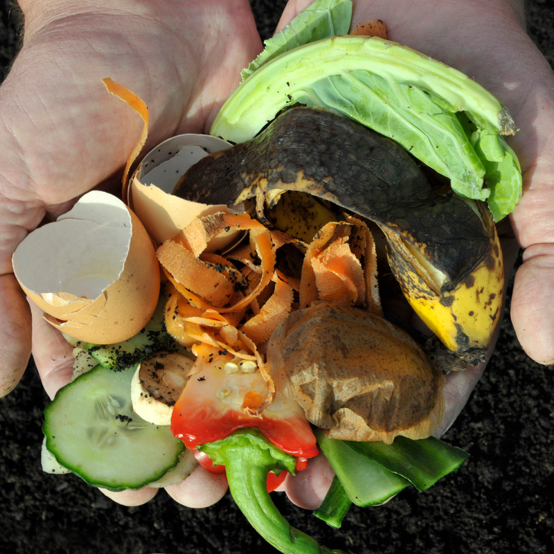 Composting in Autumn: Turn Leaves into Garden Gold