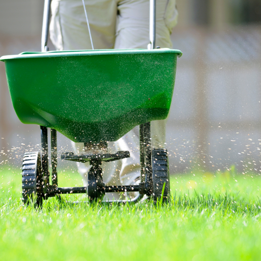 Fertilizing 101: When, How, and What to Feed Your Lawn This Spring