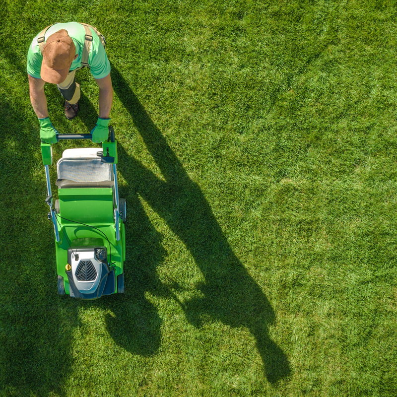 The Pros and Cons of DIY Lawn Care vs. Hiring a Professional