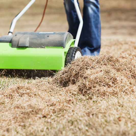 The Truth About Lawn Dethatching: When Does Your Lawn Need It?