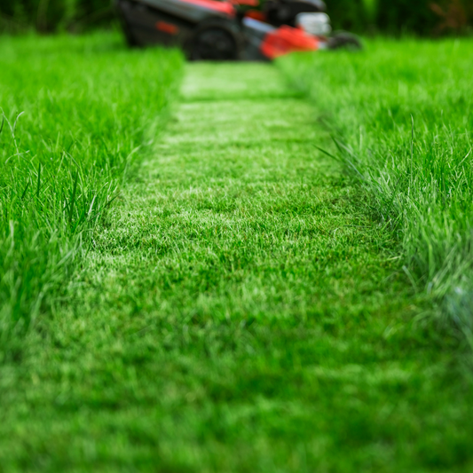The Best Mowing Practices for a Healthy Lawn in Spring