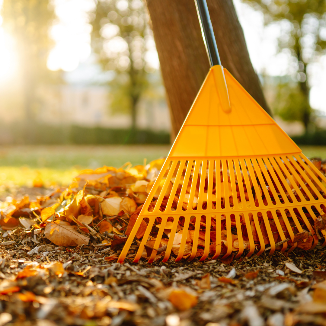 The Ultimate Fall Garden Cleanup Checklist