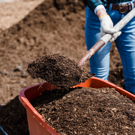 Preparing Your Garden Beds for Winter