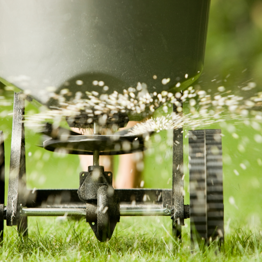 Fertilizing for Fall: The Secret to a Green Lawn Next Spring