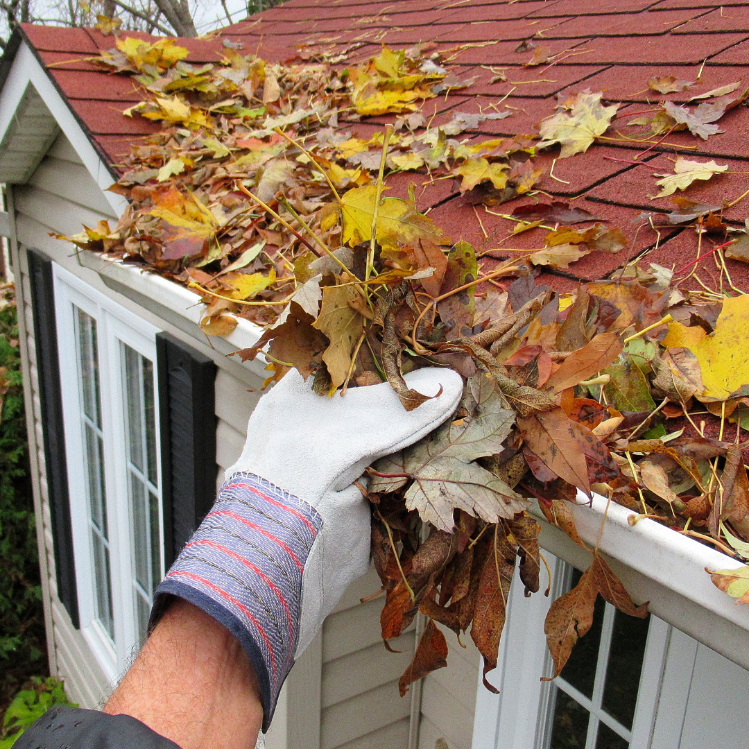 Why Fall Gutter Cleaning Protects Your Roof and Foundation