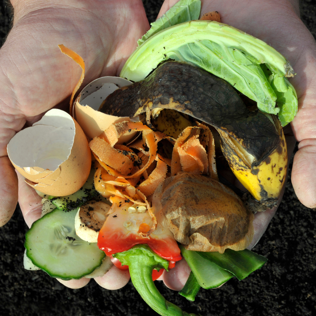 Composting in Autumn: Turn Leaves into Garden Gold