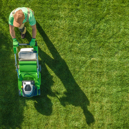 The Pros and Cons of DIY Lawn Care vs. Hiring a Professional