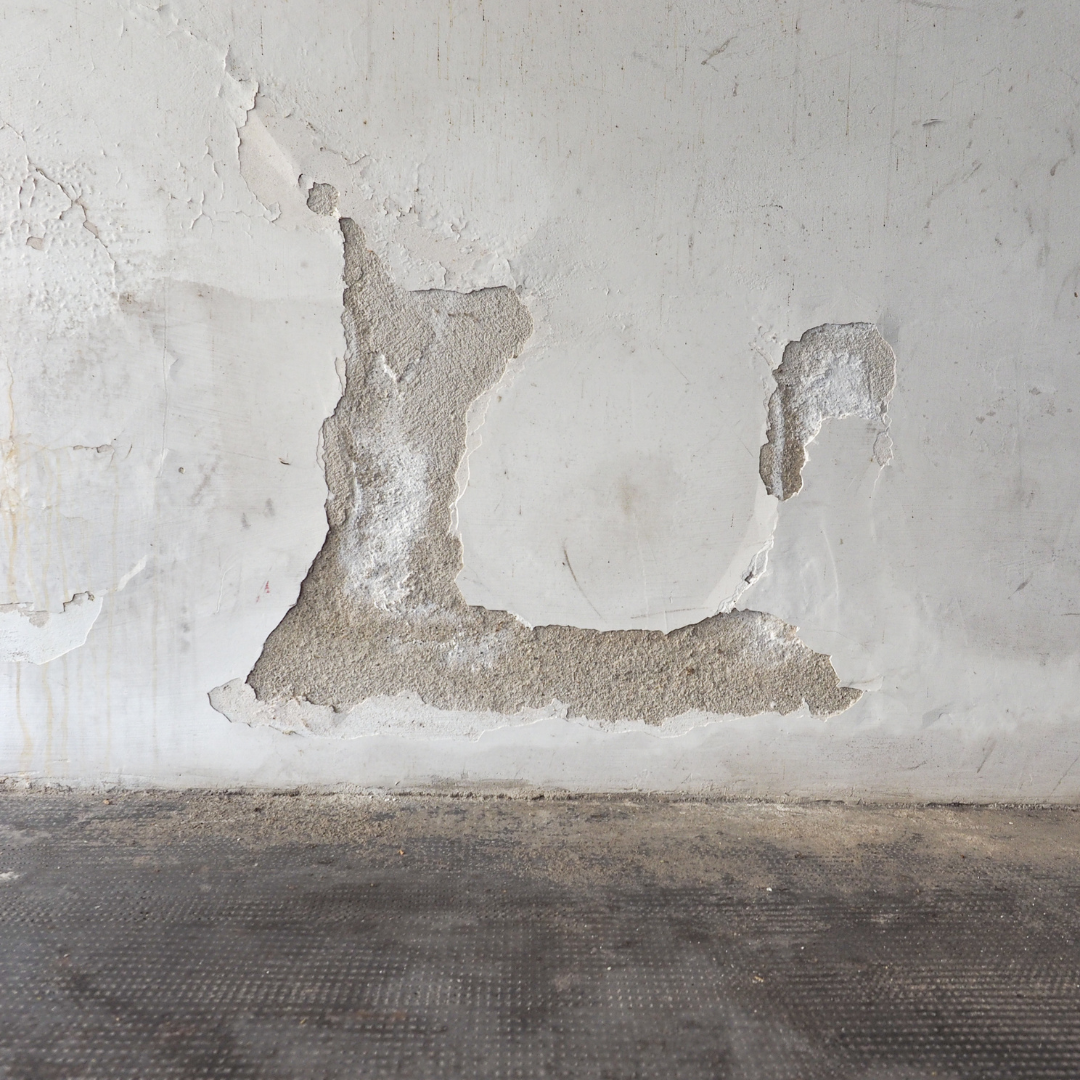 Your Basement Has a Moisture Problem. The Question Is Where It's Coming From.