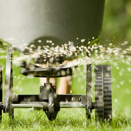 Homeowner spreading fertilizer on a healthy green lawn in spring — Ontario lawn care basics
