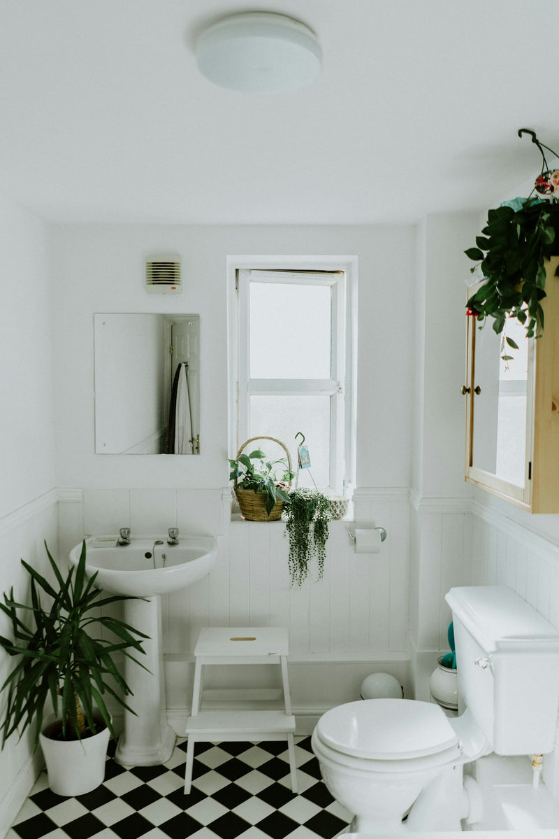 Renovated bathroom in an Ontario home