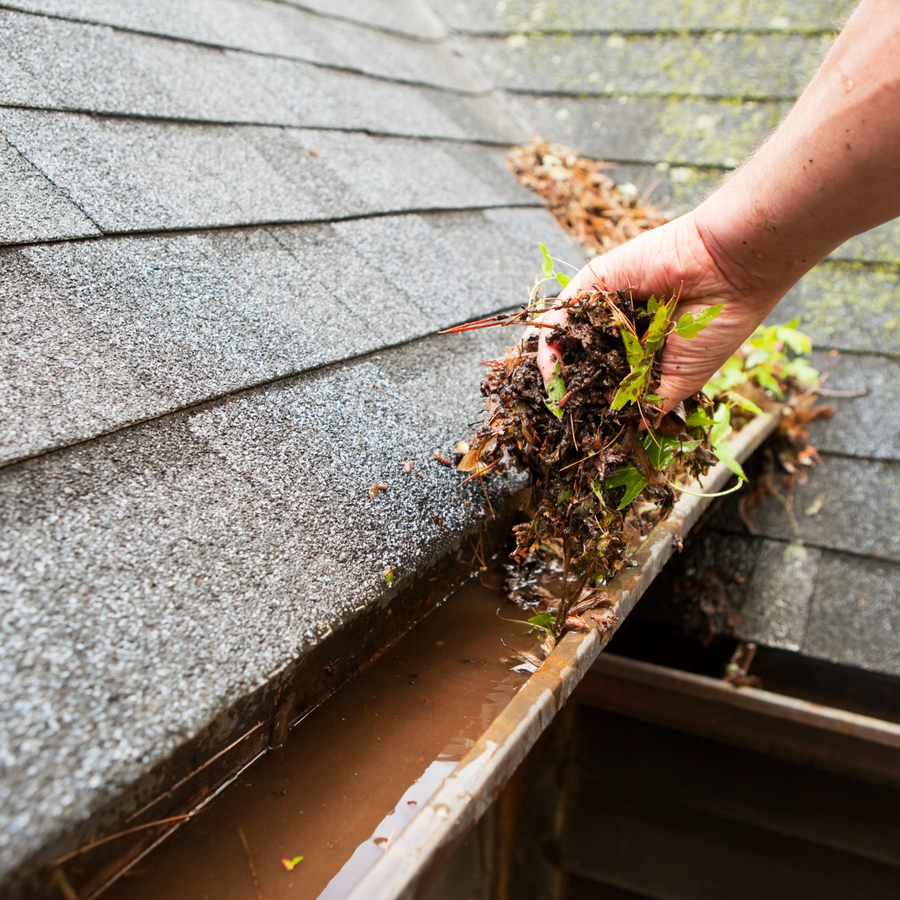 Gutter Cleaning How-To Guide preview thumbnail